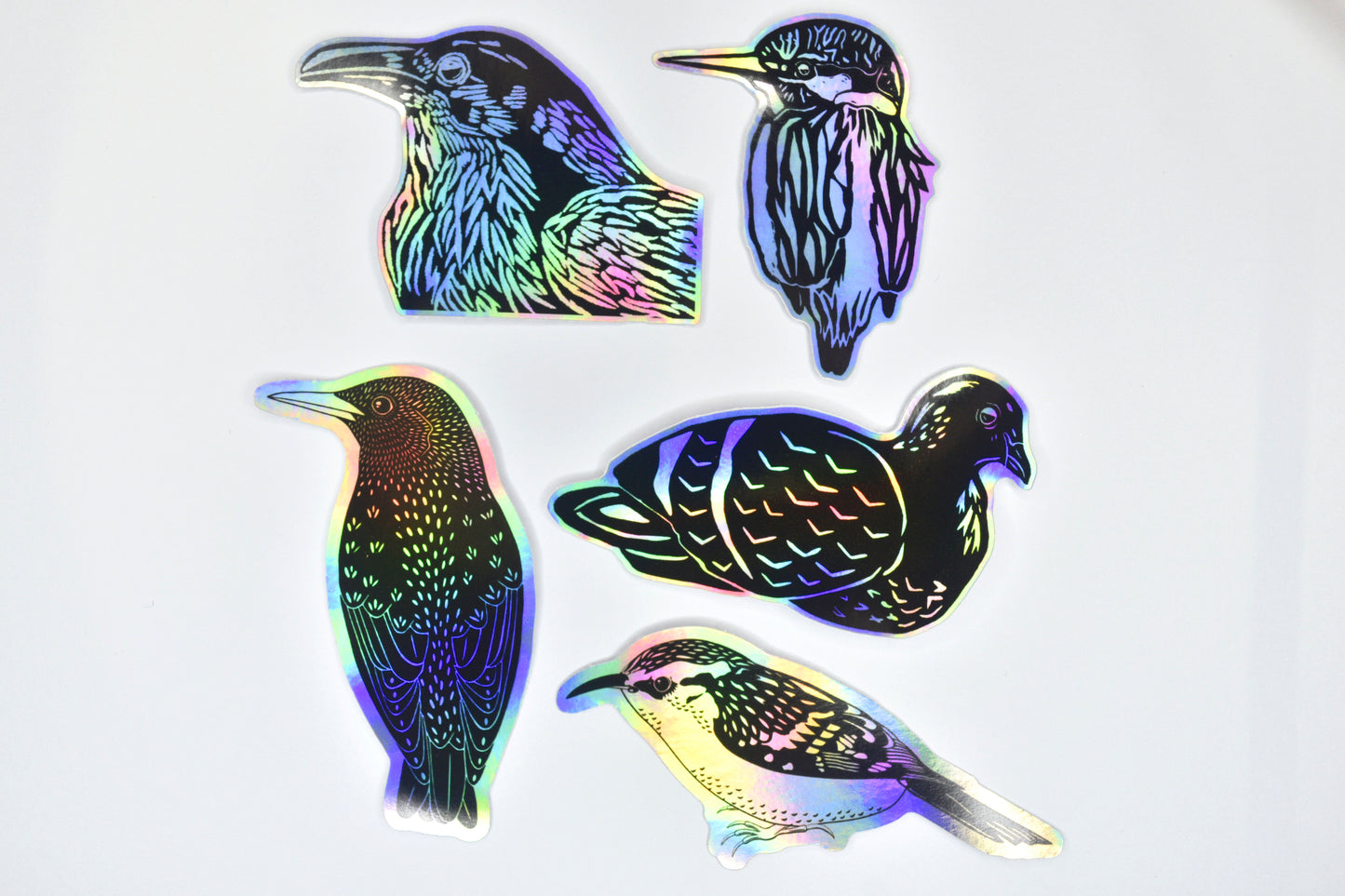 A collection of five bird stickers featuring illustrations of a crow, kingfisher, starling, pigeon and treecreeper in black ink on an iridescent holographic background. The holographic effect produces a metallic rainbow of colour across the surface of the stickers.
