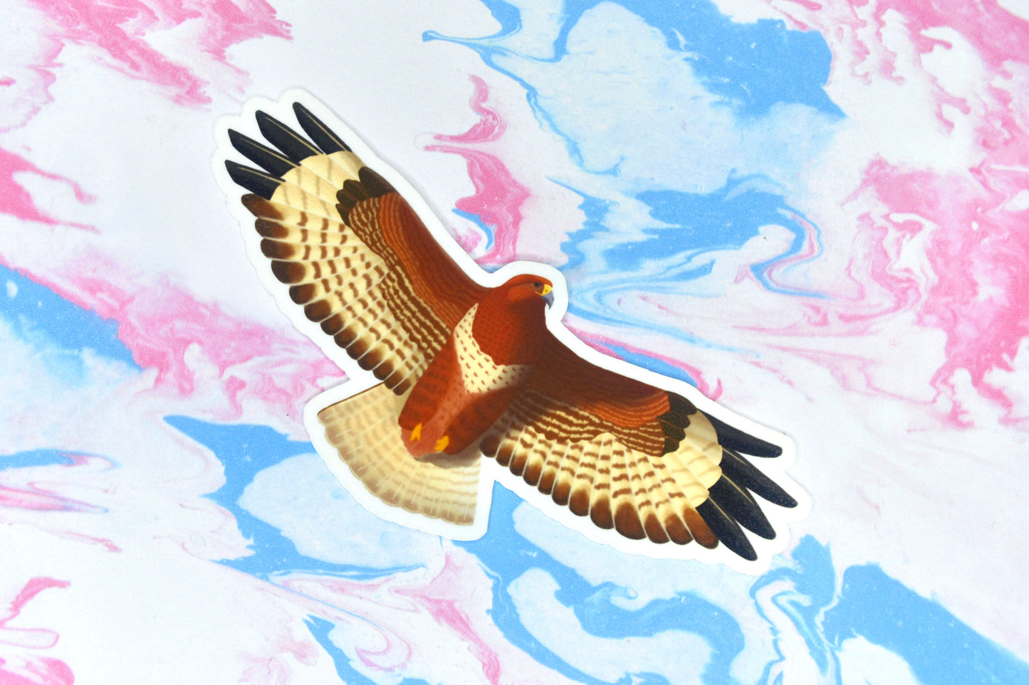 Buzzard Vinyl Bird Sticker