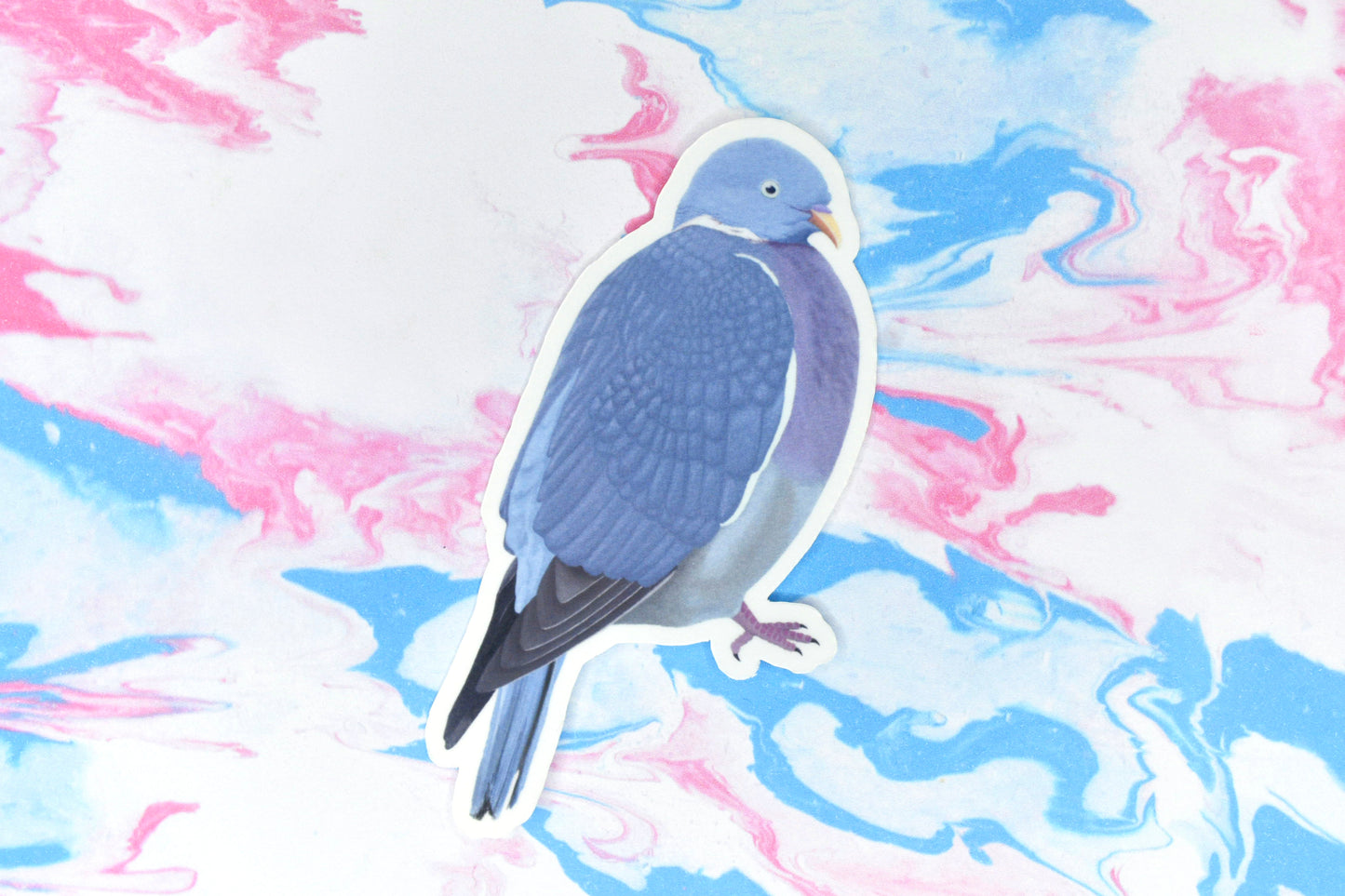 Pigeon Vinyl Bird Sticker