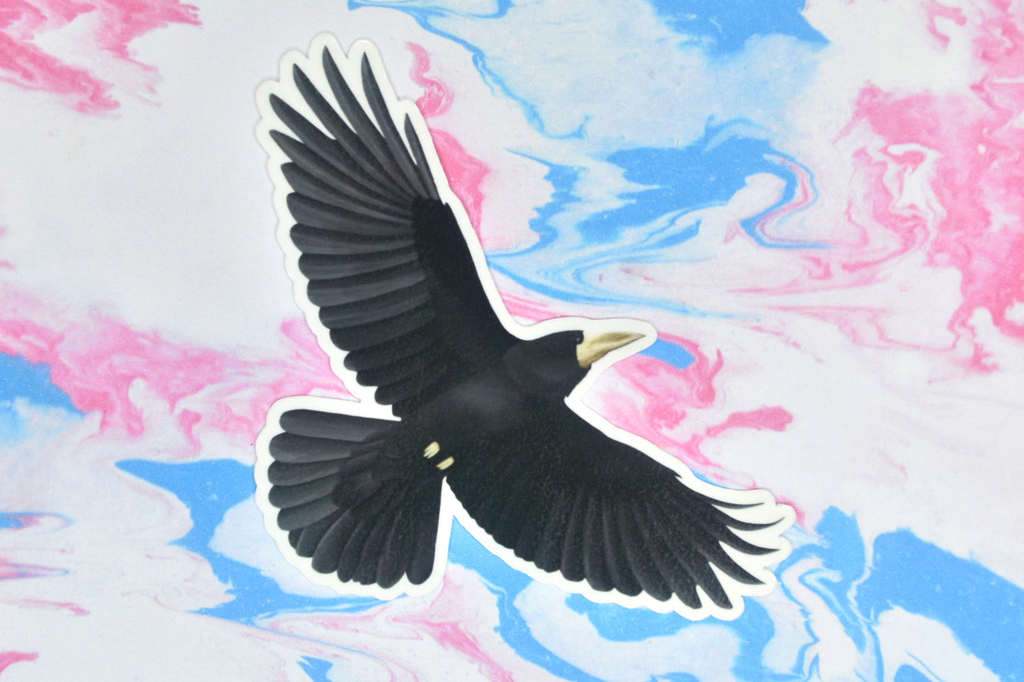 Rook Vinyl Bird Sticker