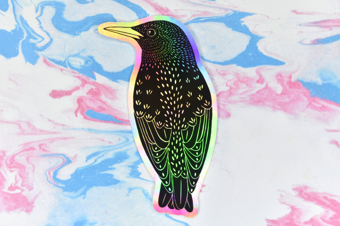 A sticker featuring a starling bird illustration in black ink on an iridescent holographic background. The holographic effect produces a metallic rainbow of colour across the surface of the sticker.