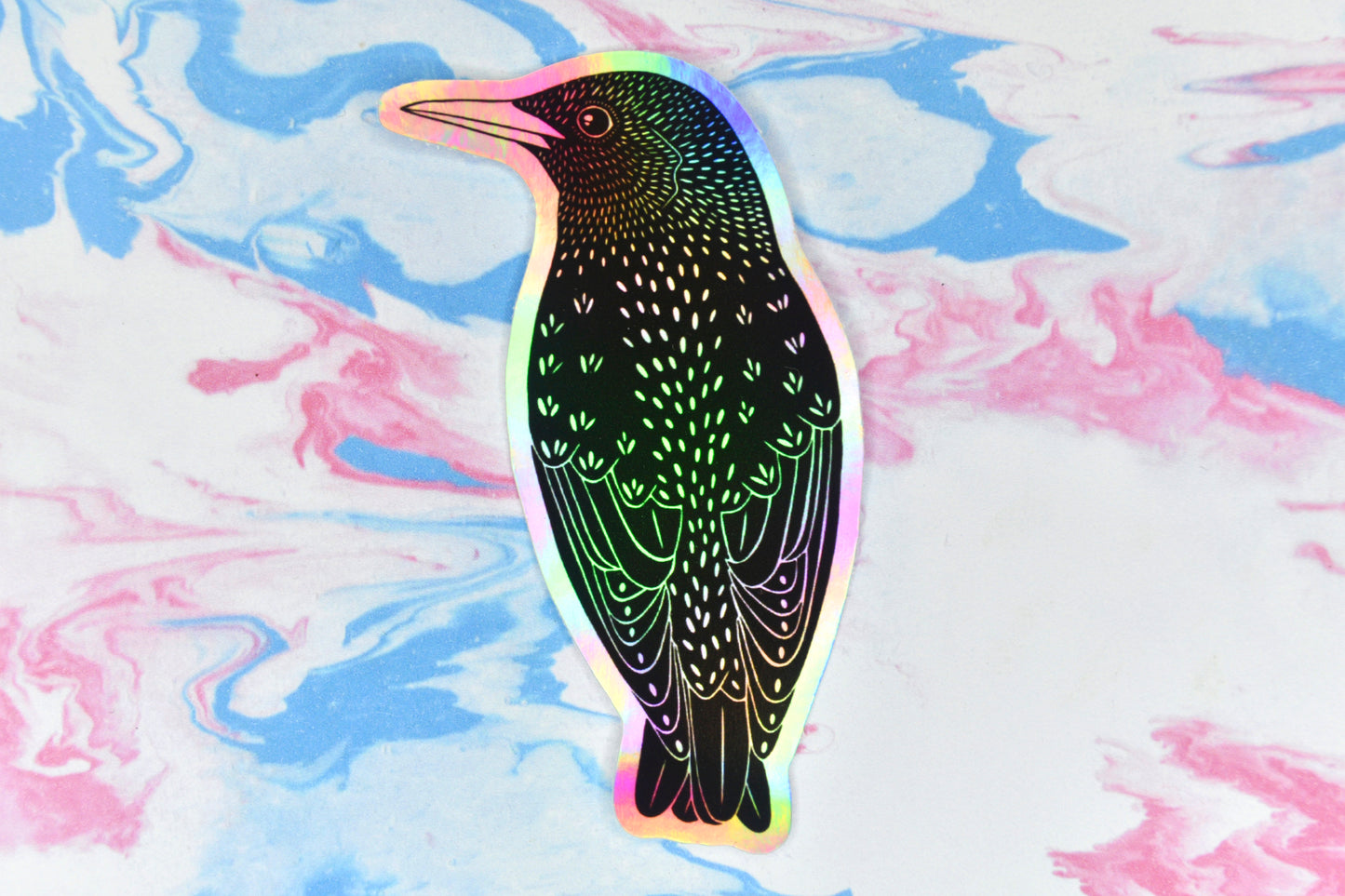 A sticker featuring a starling bird illustration in black ink on an iridescent holographic background. The holographic effect produces a metallic rainbow of colour across the surface of the sticker.