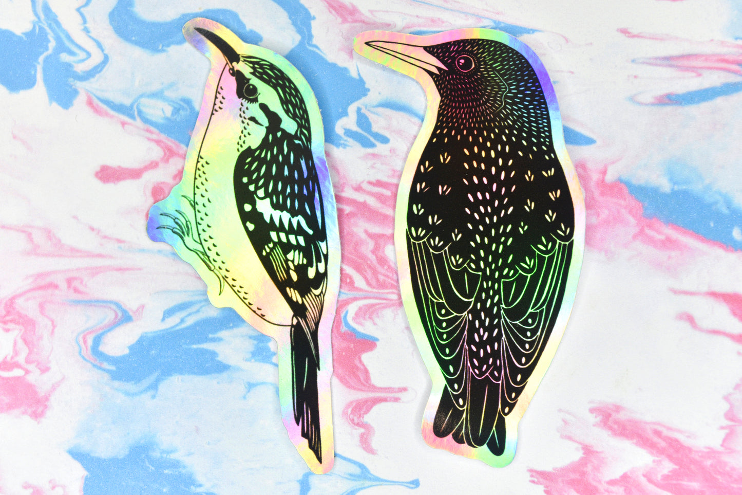 Two bird stickers, one featuring a treecreeper and the other a starling, both in black ink on an iridescent holographic background. The holographic effect produces a metallic rainbow of colour across the surface of the stickers.