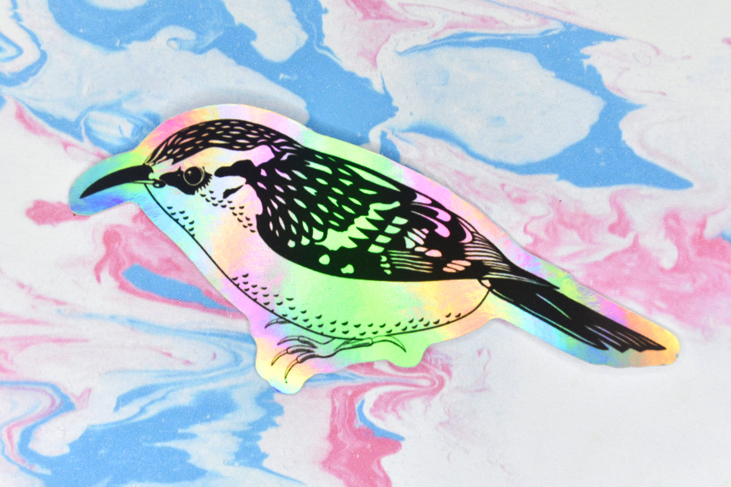 A sticker featuring a treecreeper bird illustration in black ink on an iridescent holographic background. The holographic effect produces a metallic rainbow of colour across the surface of the sticker.