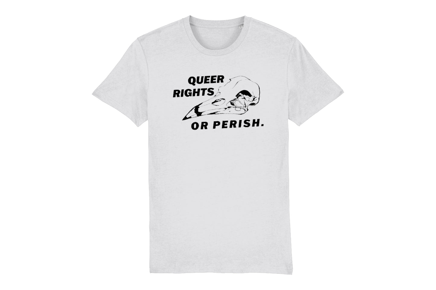 A mockup of the front of a white t-shirt featuring a bird skull illustration with text reading "queer rights or perish", all printed in black ink.