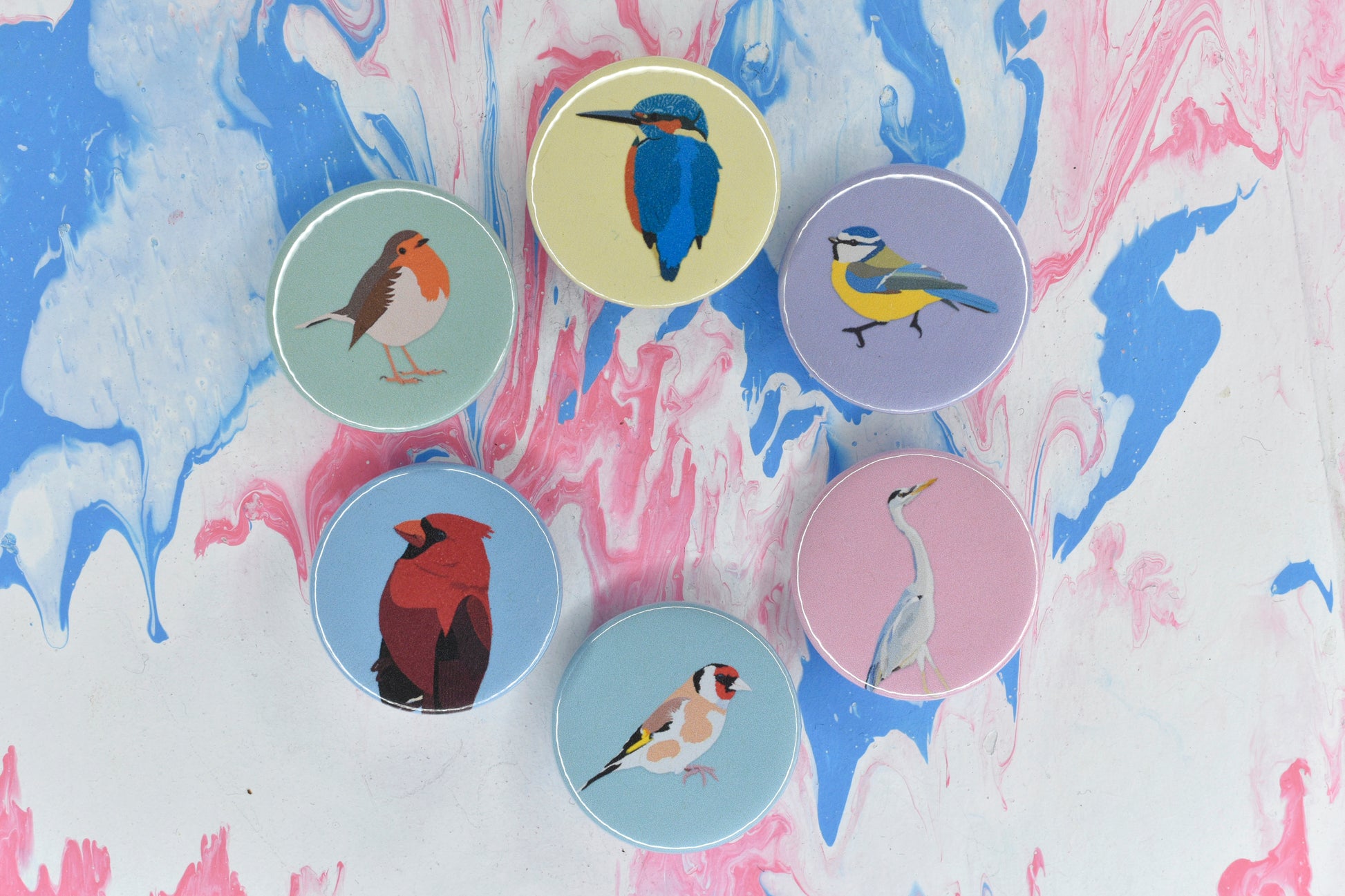 A group of six badges, each featuring a different bird illustration on a different pastel coloured background. There is a kingfisher on a yellow background, a blue tit on a purple background, a heron on a pink background, a goldfinch on a mint green background, a red cardinal on a blue background and a robin on a green background.