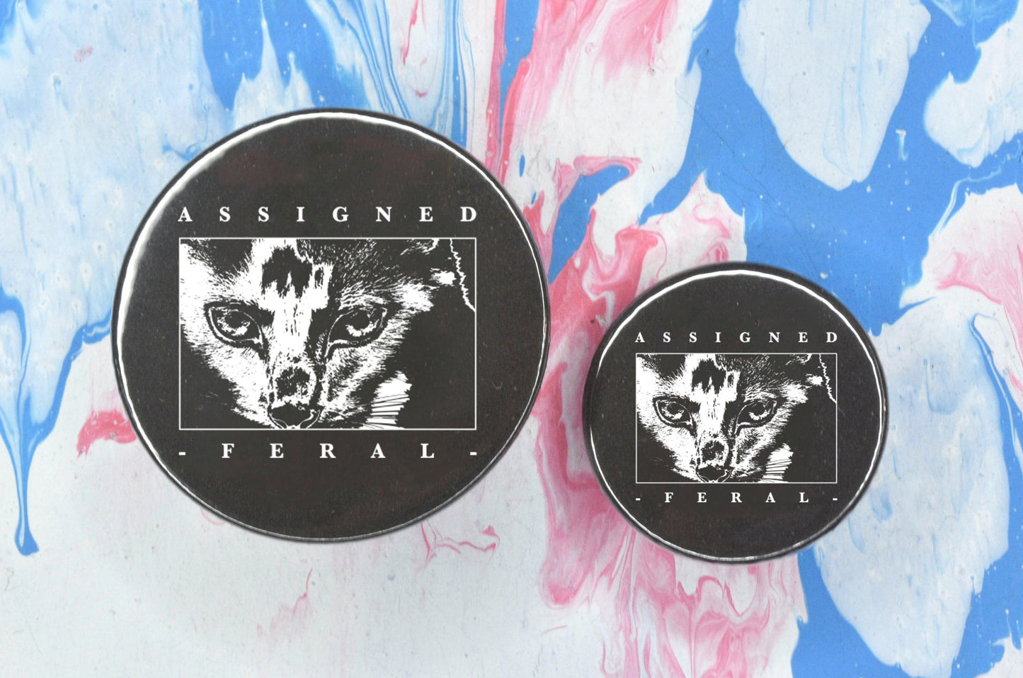 Two badges in sizes medium and small respectively, each featuring a black background with a black and white close-up image of a cat's face, framed with a thin white rectangular border. Above and below the image is uppercase text reading "assigned" and "feral" respectively.