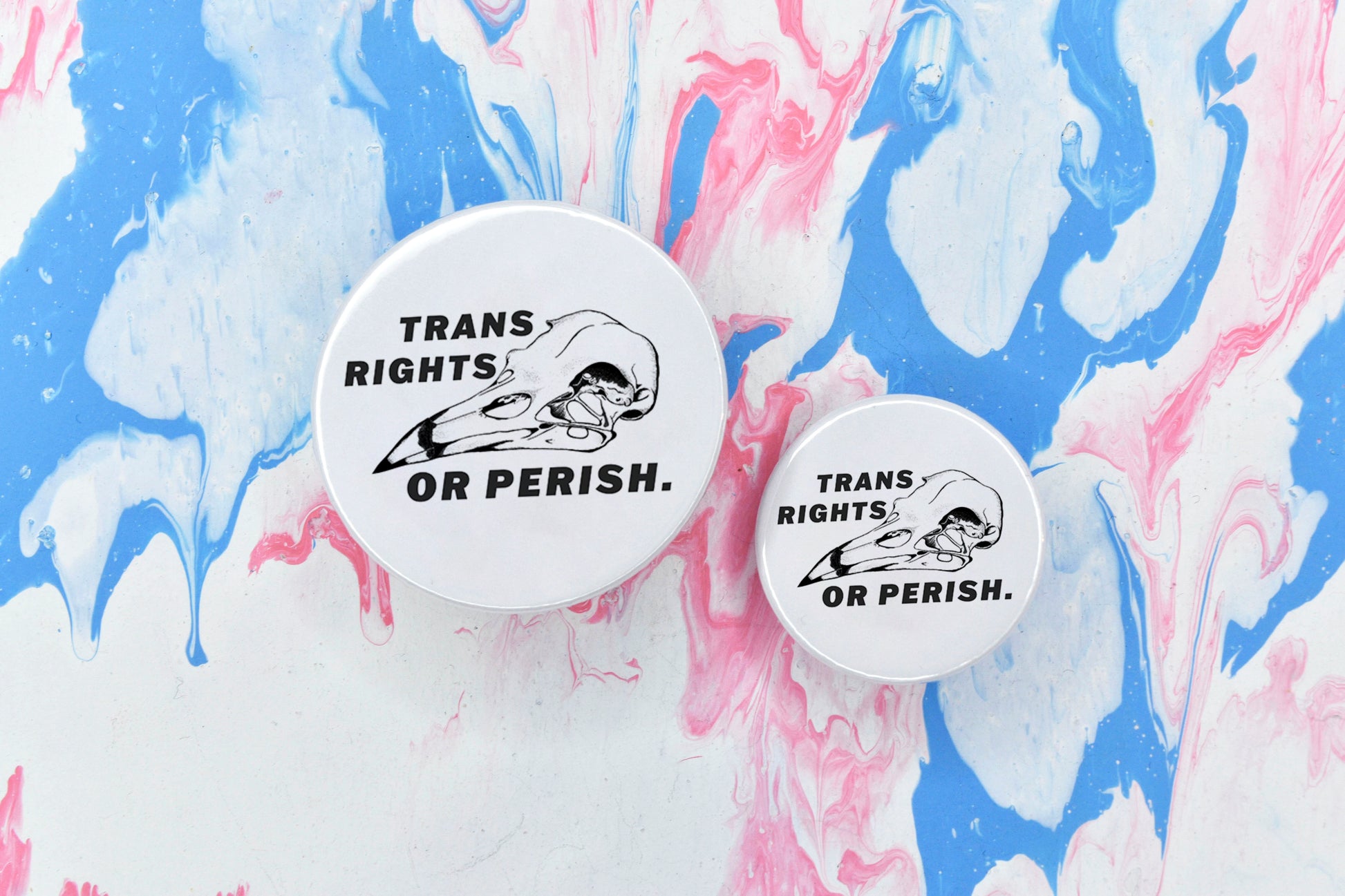 Two badges in sizes medium and small respectively, each featuring a black and white bird skull illustration with black text reading "trans rights or perish", all on a white background.