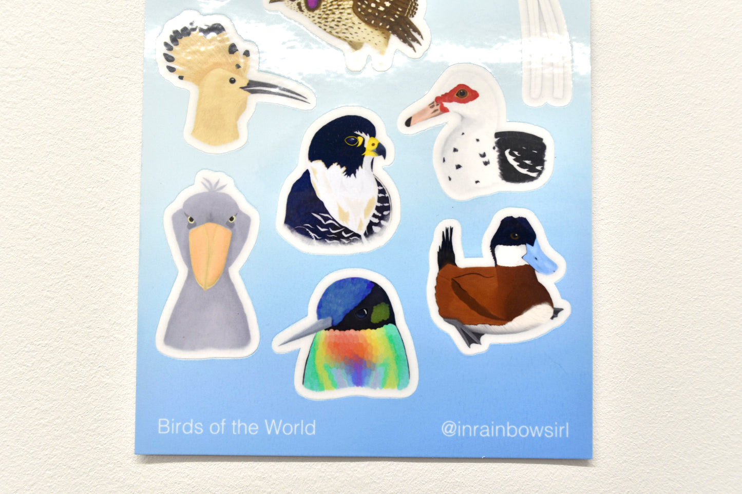 Birds of the World Sticker Sheet