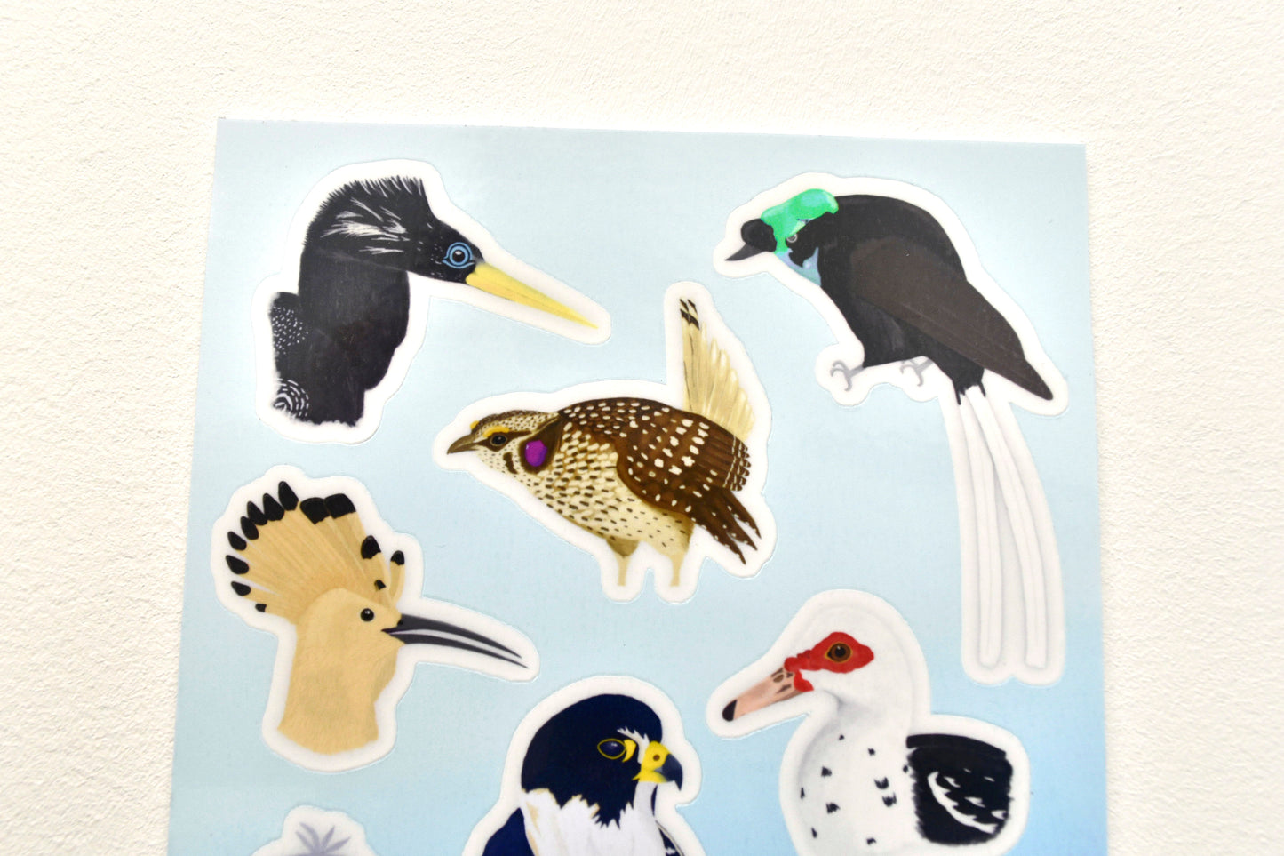 Birds of the World Sticker Sheet