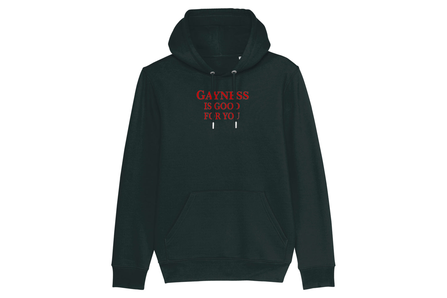 Gayness Is Good For You Hoodie