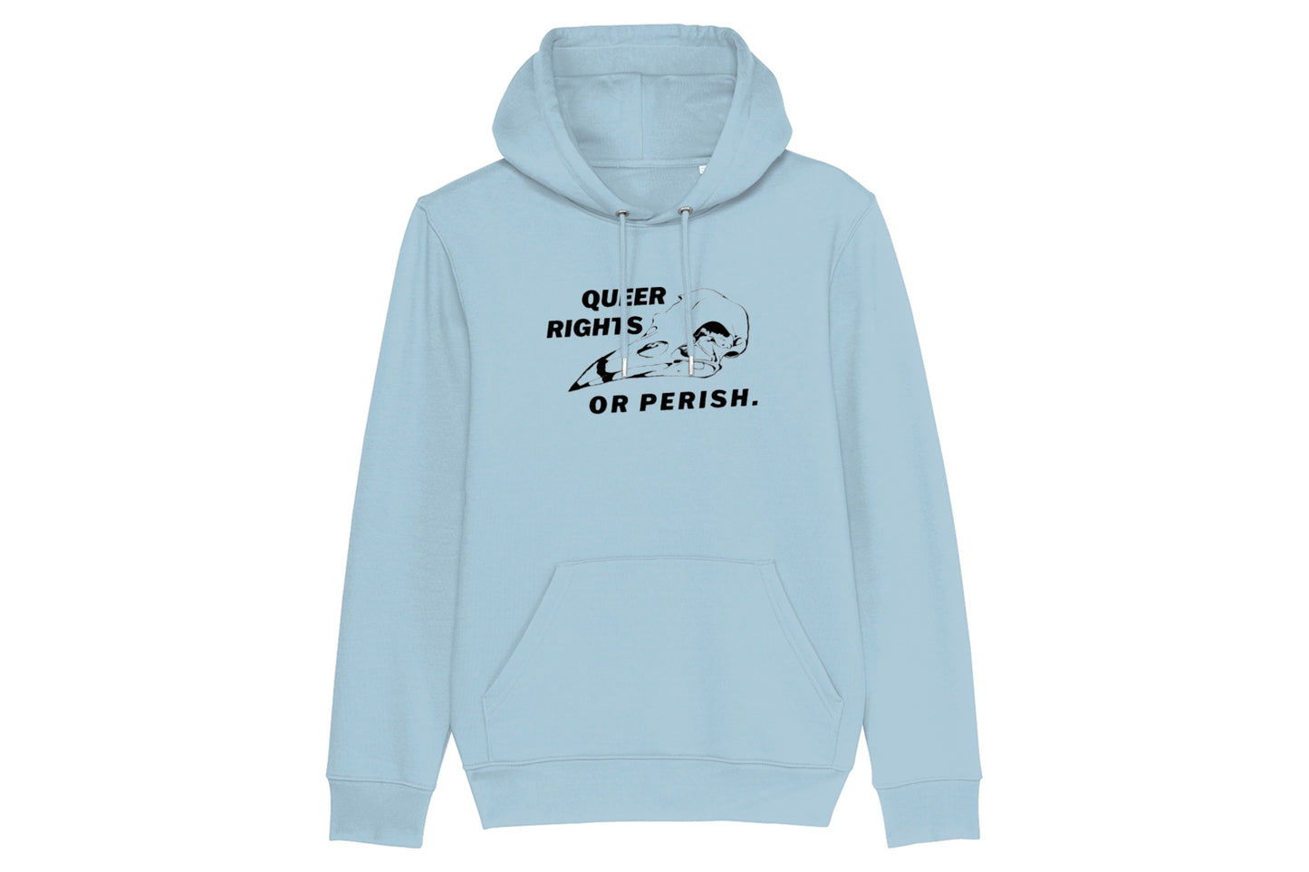 Queer Rights Or Perish Hoodie