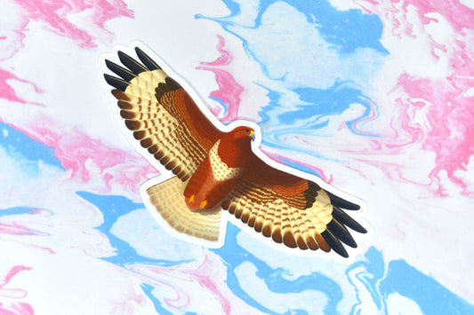 Buzzard Vinyl Bird Sticker