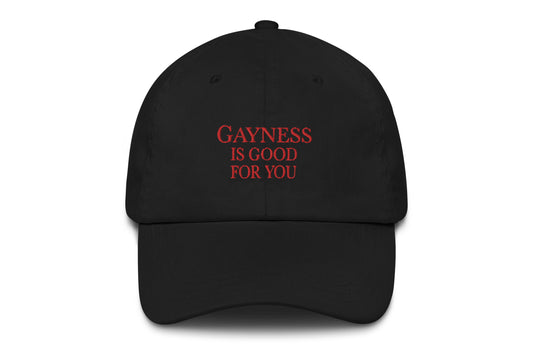 A mock-up of a black baseball cap with text embroidered on the front in red serif typeface reading "gayness is good for you".