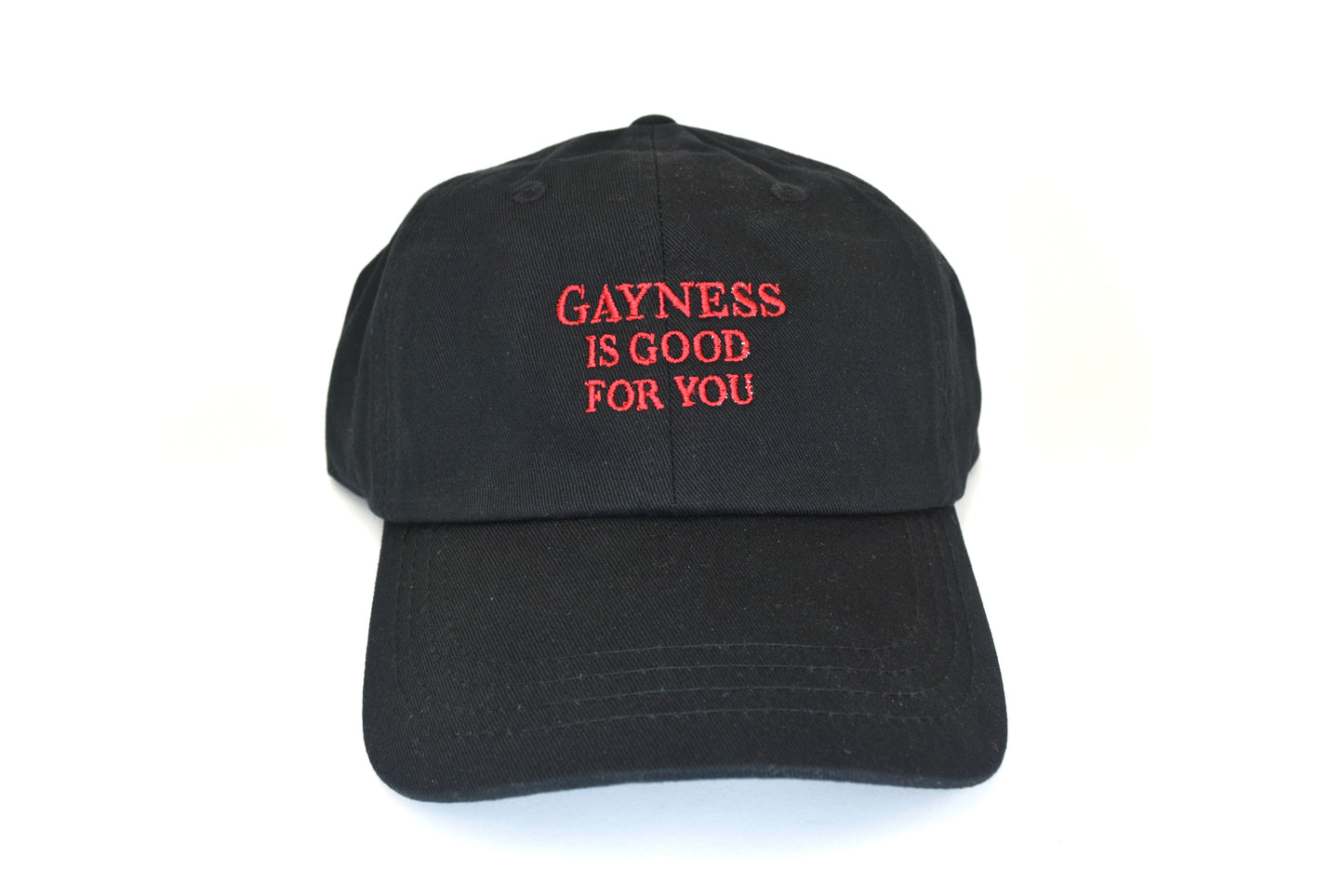 Gayness is Good For You Cap