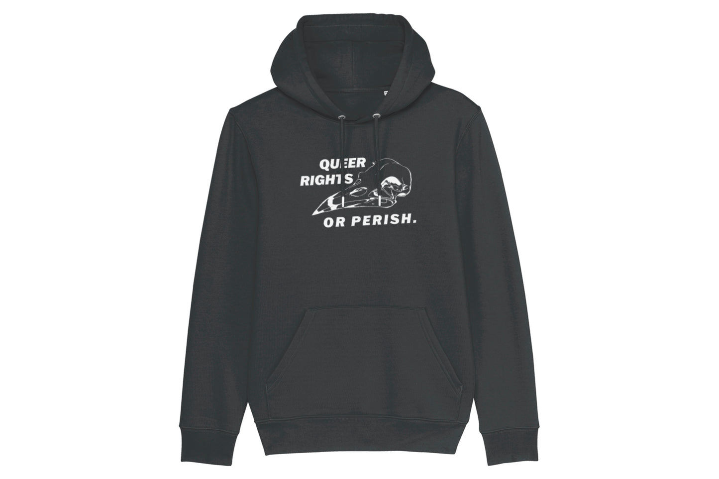 Queer Rights Or Perish Hoodie