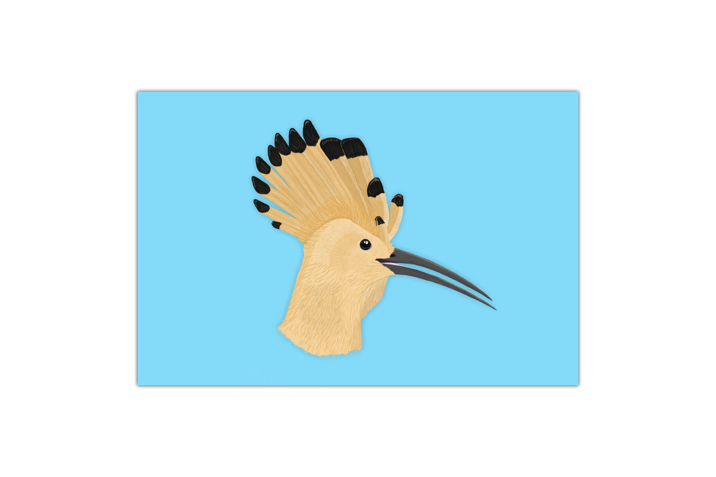 Birds of the World Mini Prints