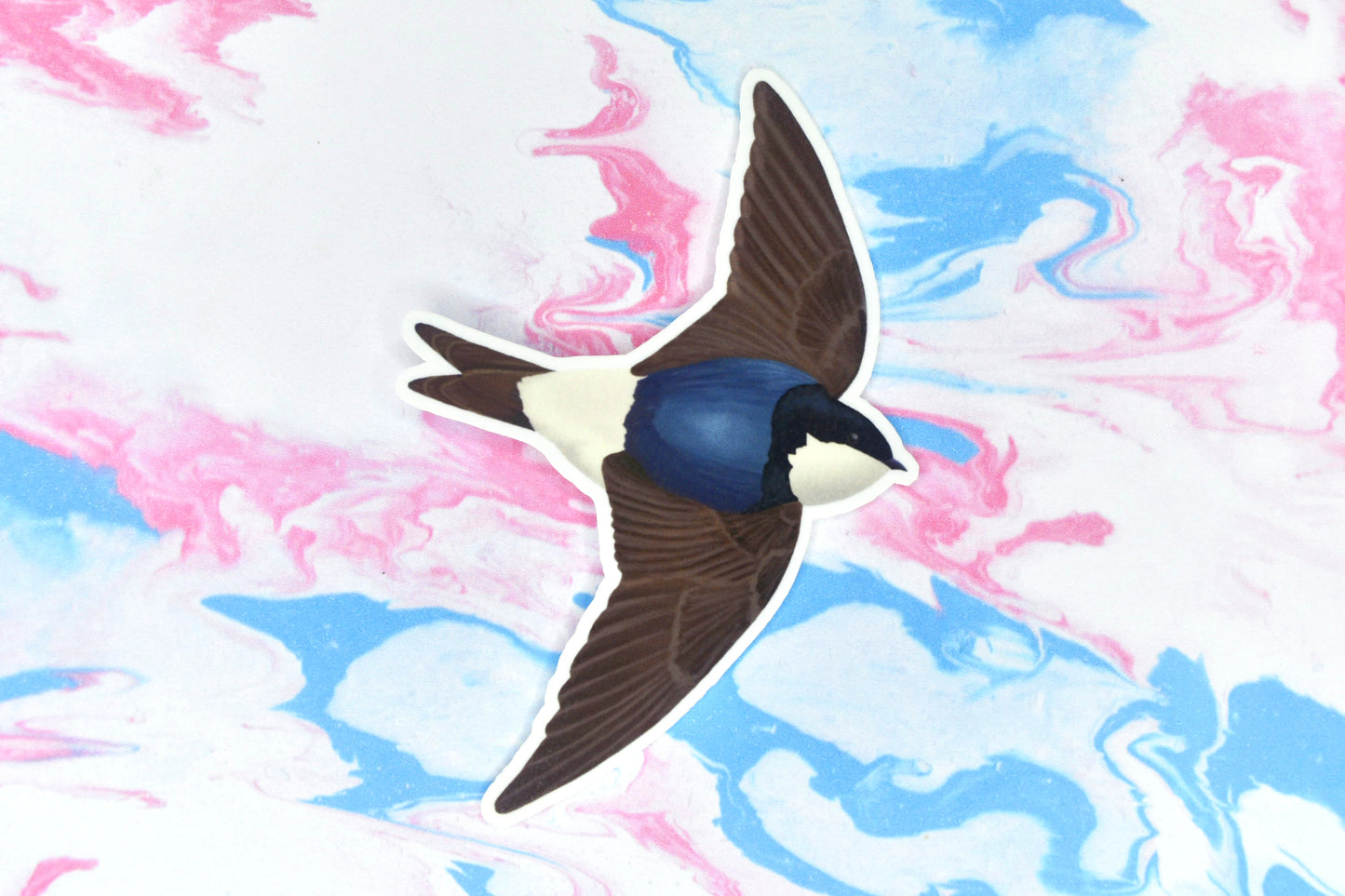 House Martin Vinyl Bird Sticker