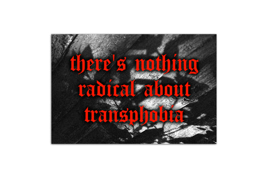 There's Nothing Radical About Transphobia Mini Print