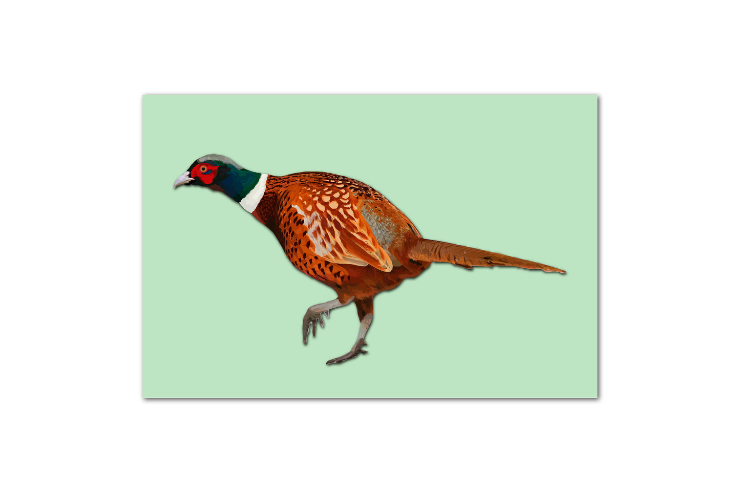 A rectangular print featuring a digital illustration of a pheasant on a light green background.