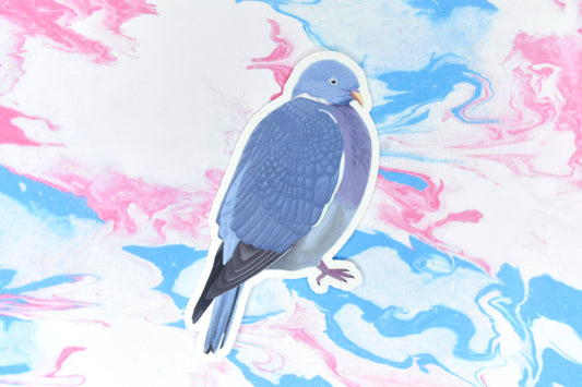Pigeon Vinyl Bird Sticker