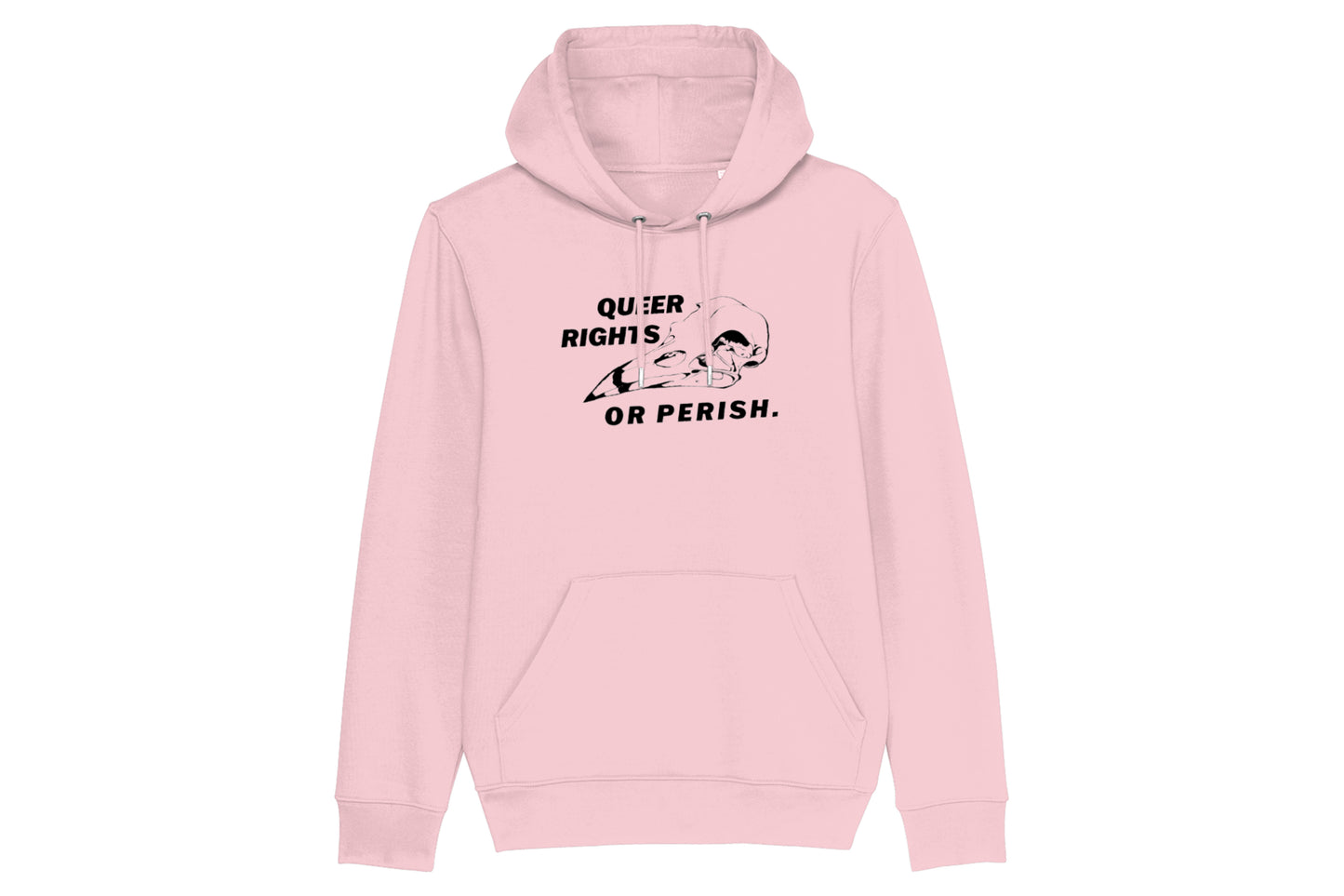 Queer Rights Or Perish Hoodie