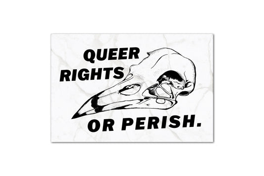 A print design featuring a black and white bird skull illustration with black text reading "queer rights or perish", all on a white background with a subtle marble texture.