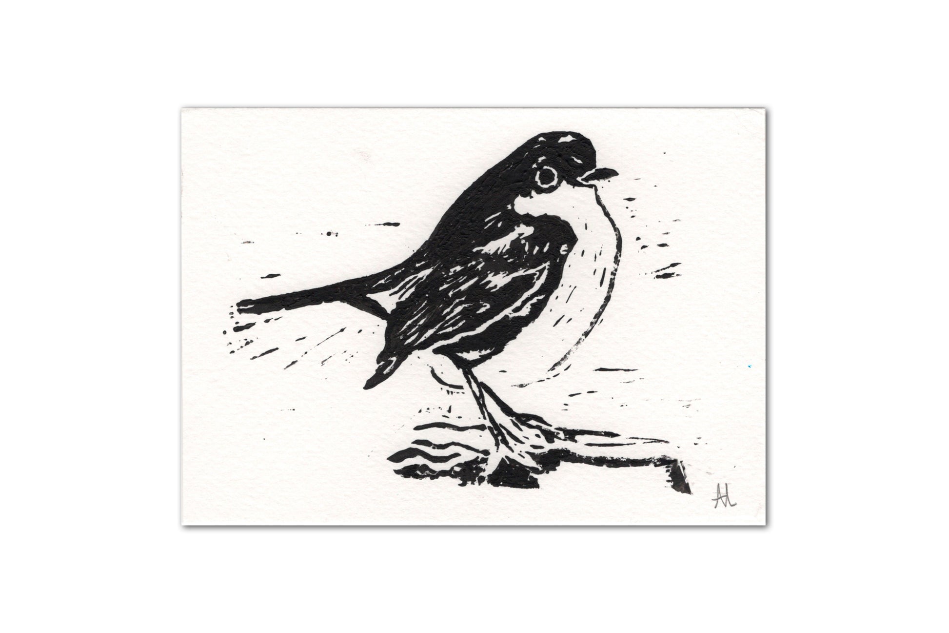 A black and white lino print of a small garden bird, most closely resembling a robin, printed on white card.