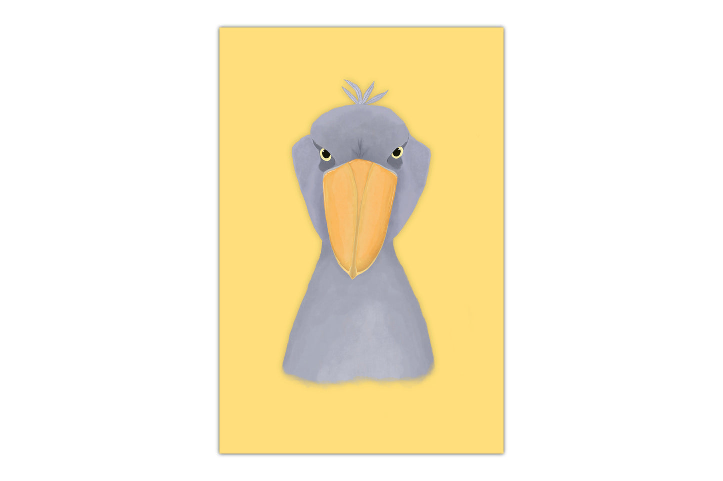 Birds of the World Mini Prints