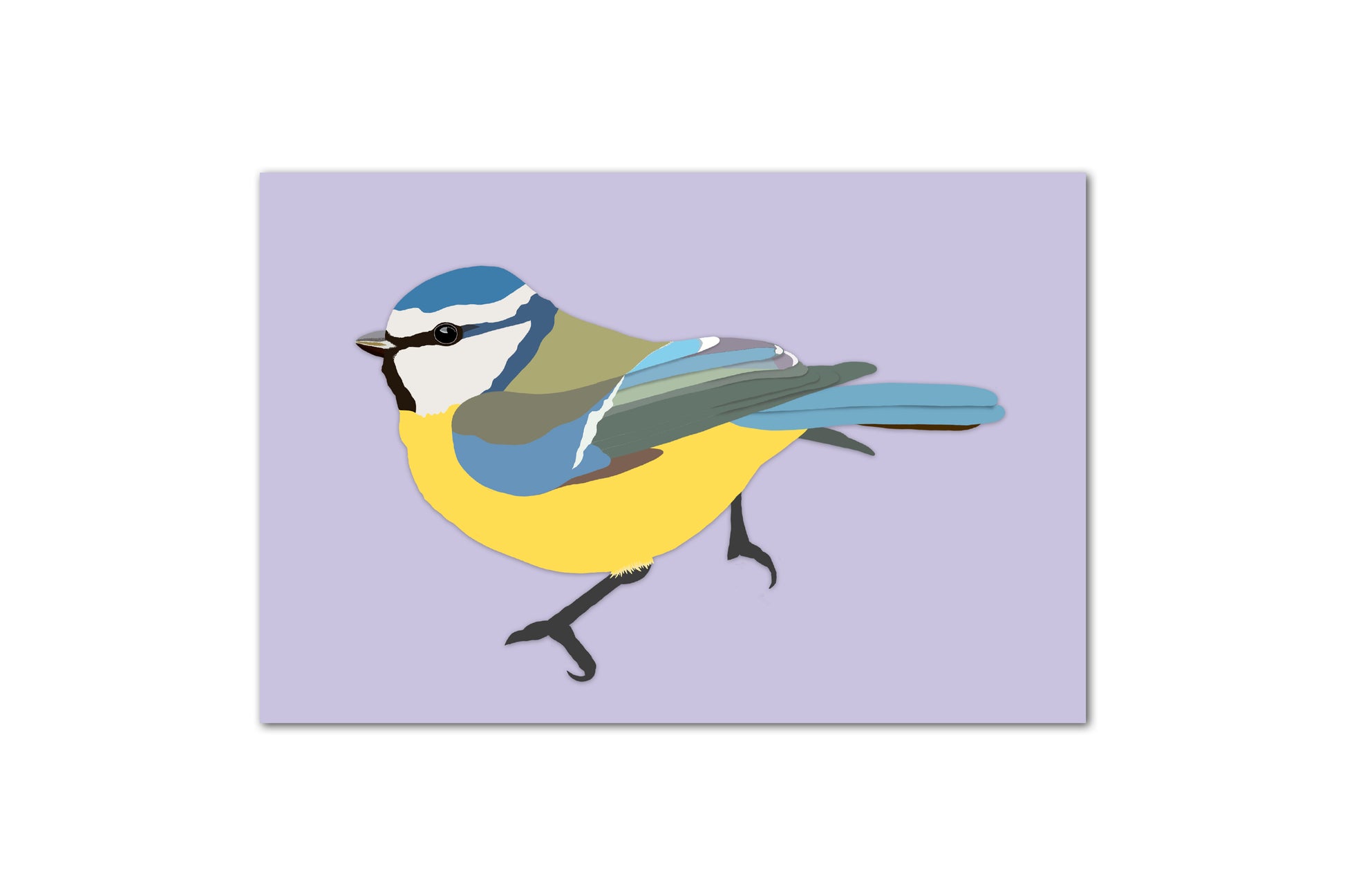 A digital illustration of a blue tit on a pastel purple background