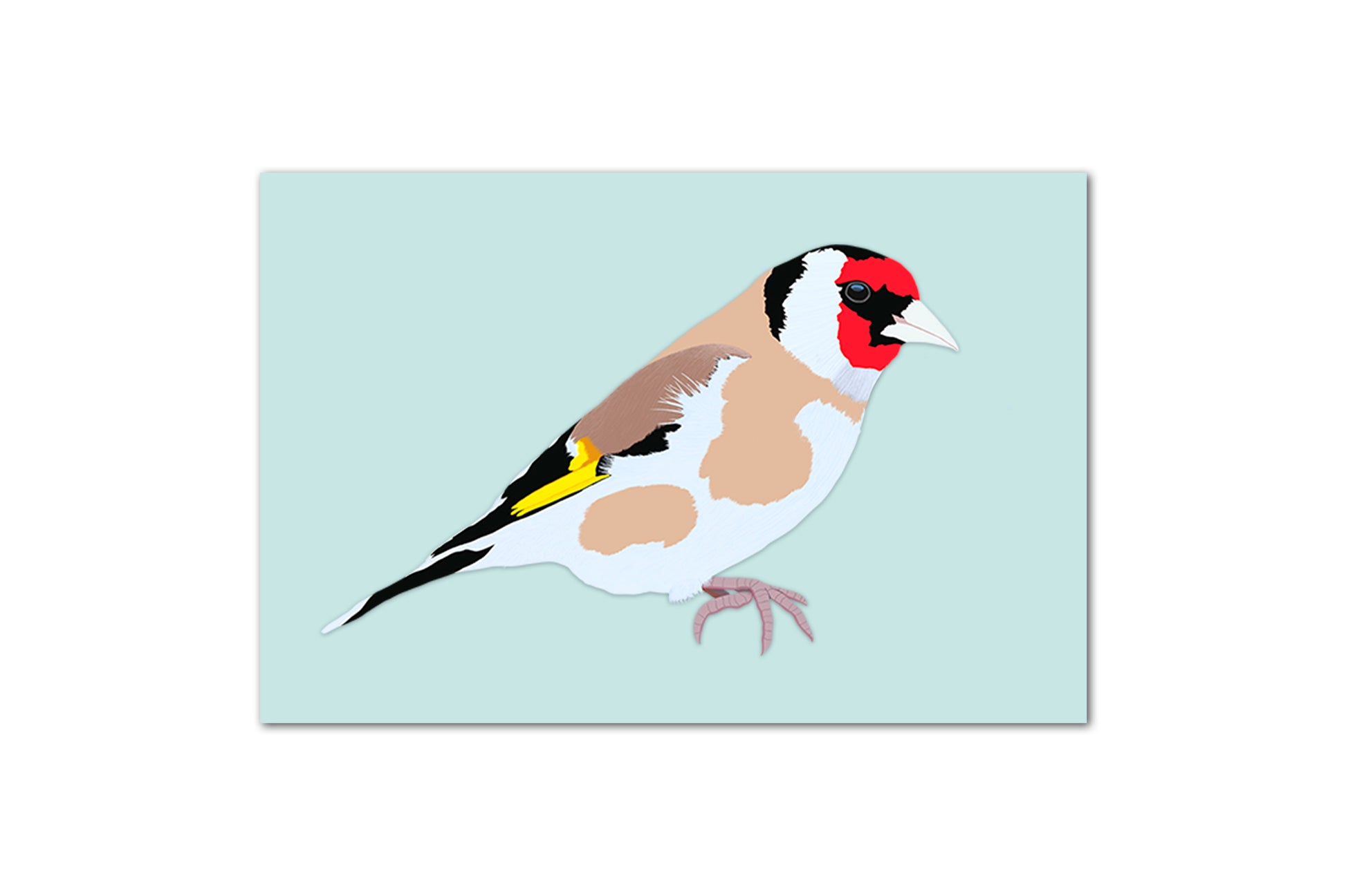 A digital illustration of a goldfinch on a mint green background