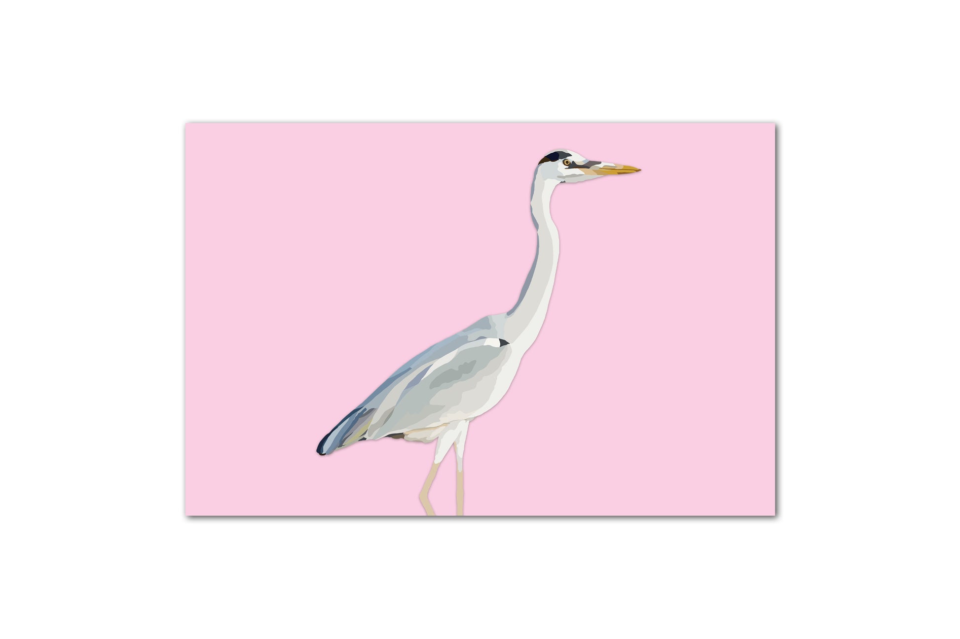 A digital illustration of a heron on a pastel pink background